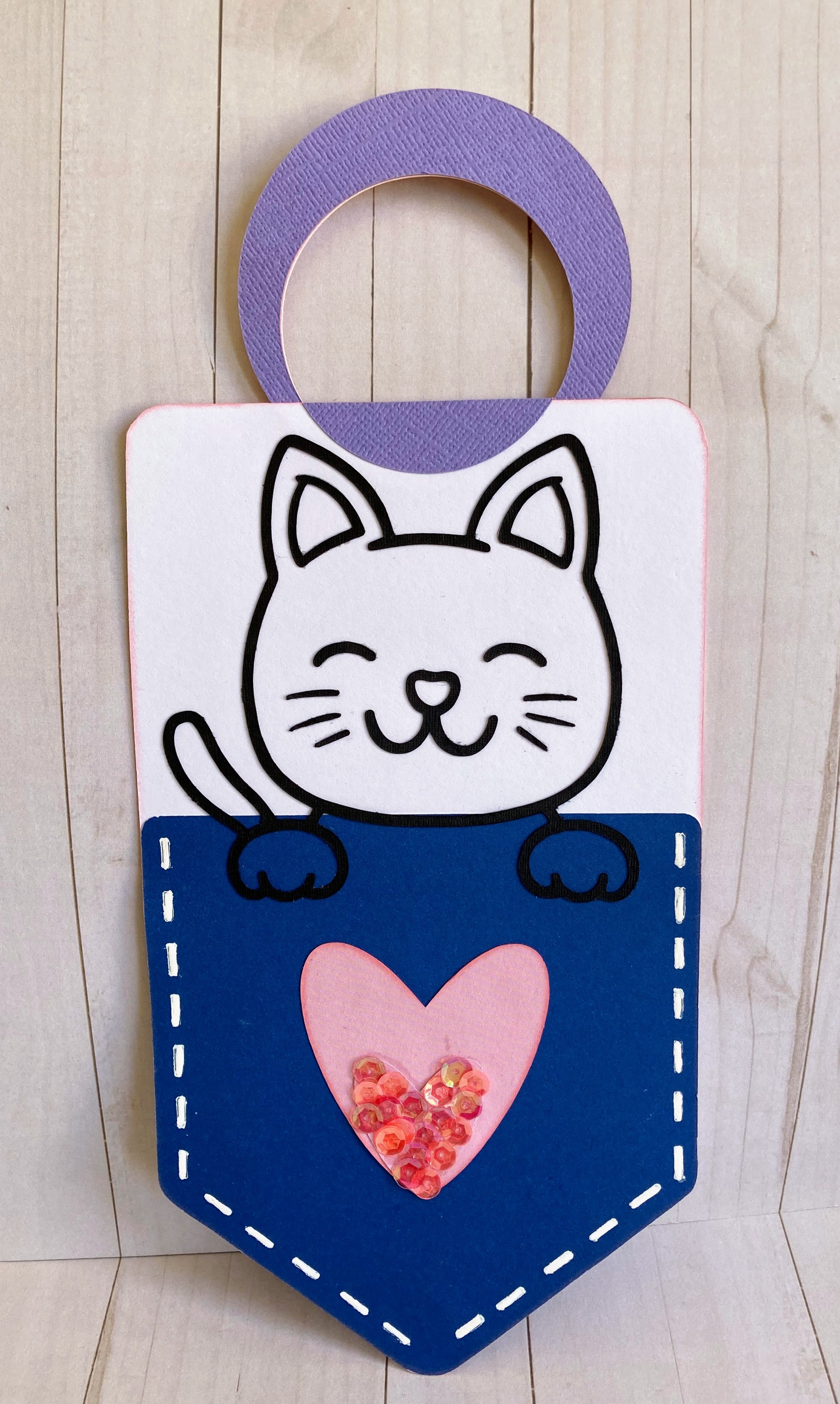 Cat Pocket Peeker | Door Hanging