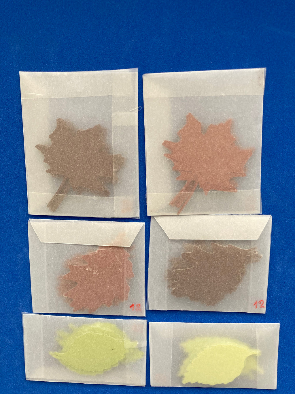 AUTUMN LEAVES Die Cuts - Colores otoñales