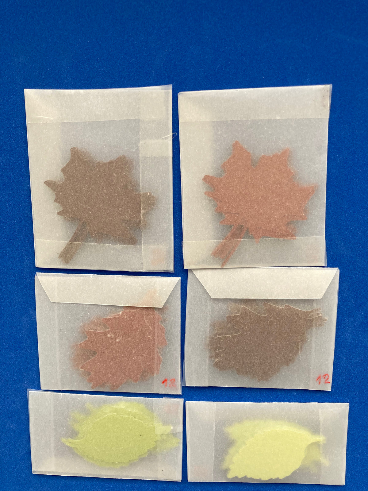 AUTUMN LEAVES Die Cuts - Colores otoñales