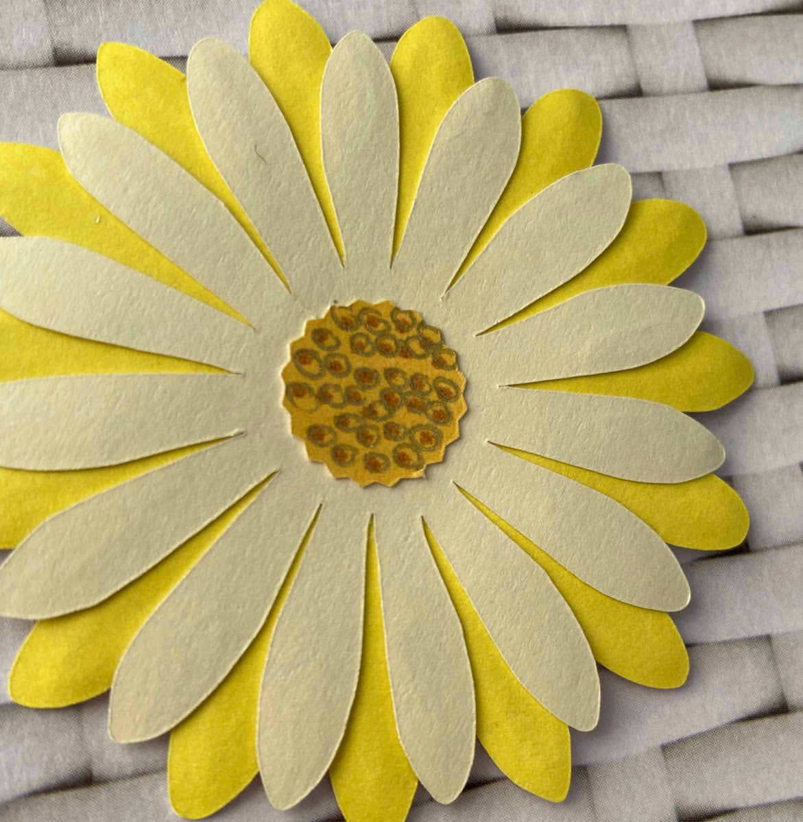 Paper Daisy Die Cut Flowers - Three Sizes