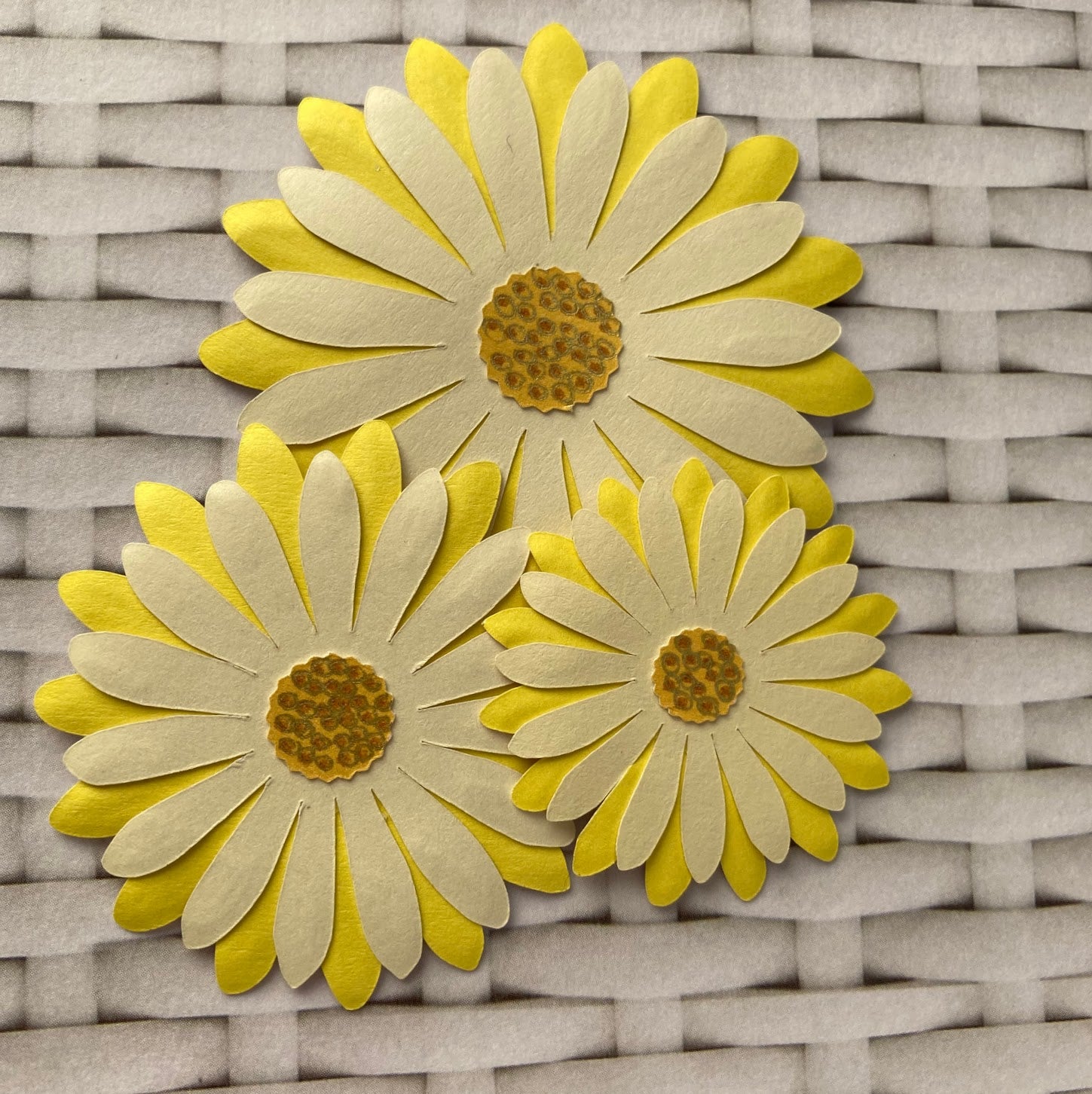 Paper Daisy Die Cut Flowers - Three Sizes