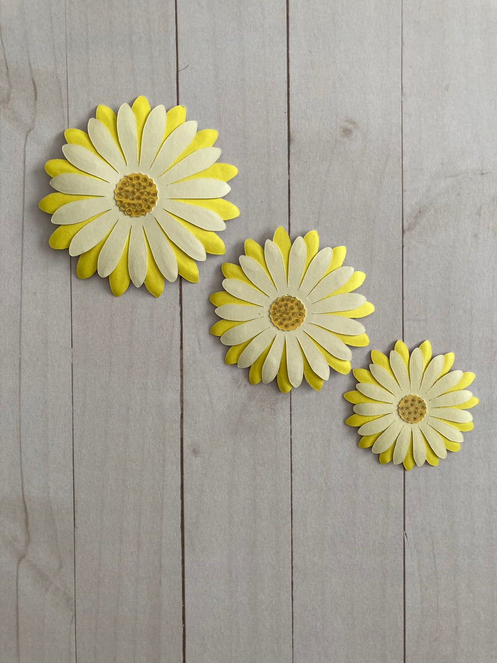 Paper Daisy Die Cut Flowers - Three Sizes